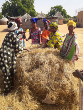 Embouche - traitement de la paille