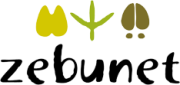 logo_zebunet
